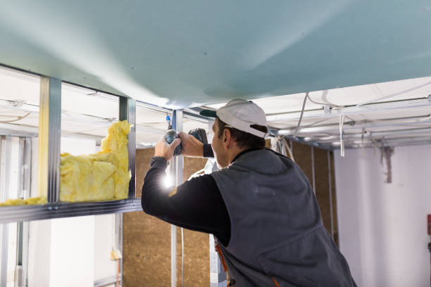 Types of Insulation We Offer in Tamaqua, PA