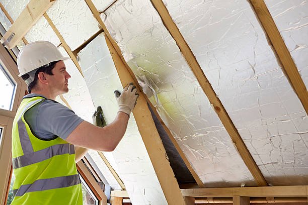 Best Cellulose Insulation in Tamaqua, PA
